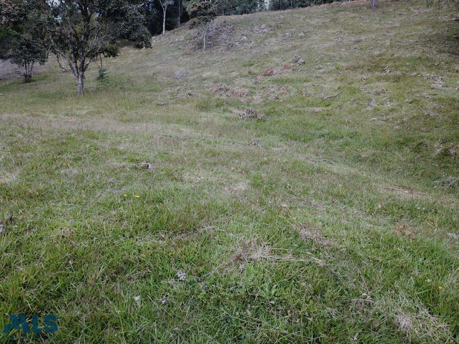 LOTE EN VENTA VEREDA ALTO DE LA VIRGEN GUARNE guarne - autopista guarne