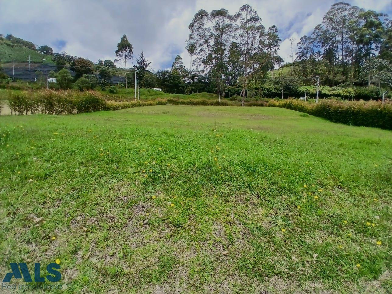 Descubre el sabor de la felicidad. el-retiro - pantanillo