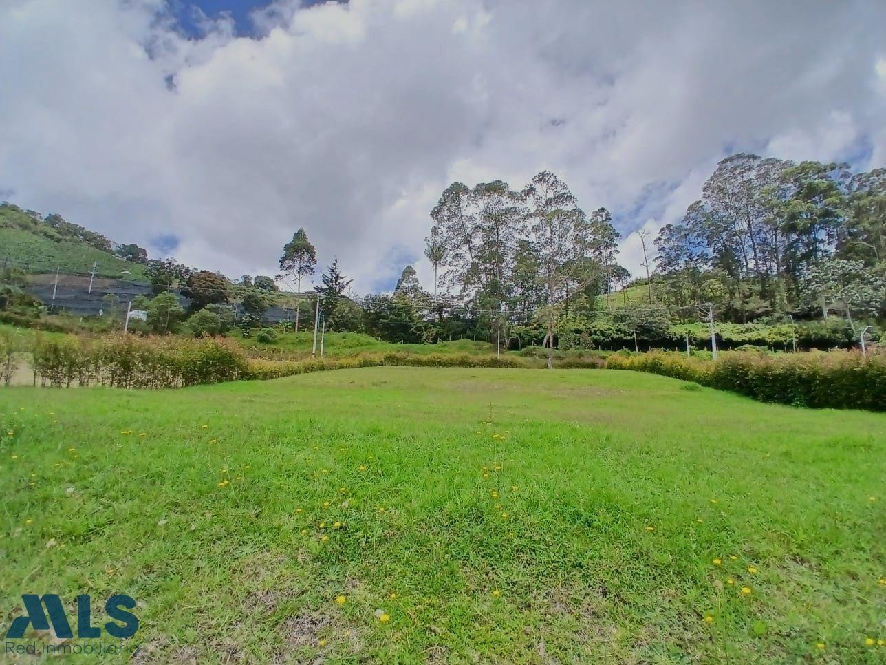 Descubre el sabor de la felicidad. el-retiro - pantanillo