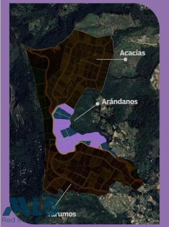 Construye la casa de tus sueños,naturaleza y privacidad en el Oriente Antioqueño guarne - la pastorcita