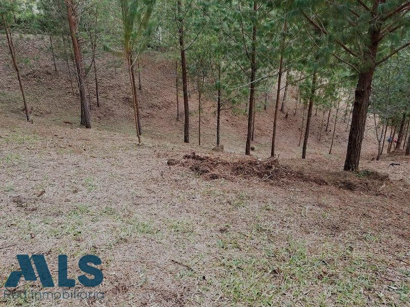 Construye la casa de tus sueños rionegro - v el tablazo