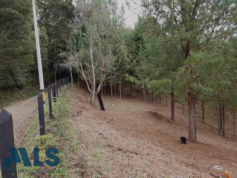 Construye la casa de tus sueños rionegro - v el tablazo