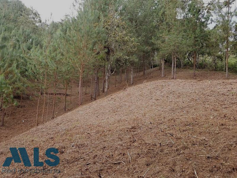 Construye la casa de tus sueños rionegro - v el tablazo