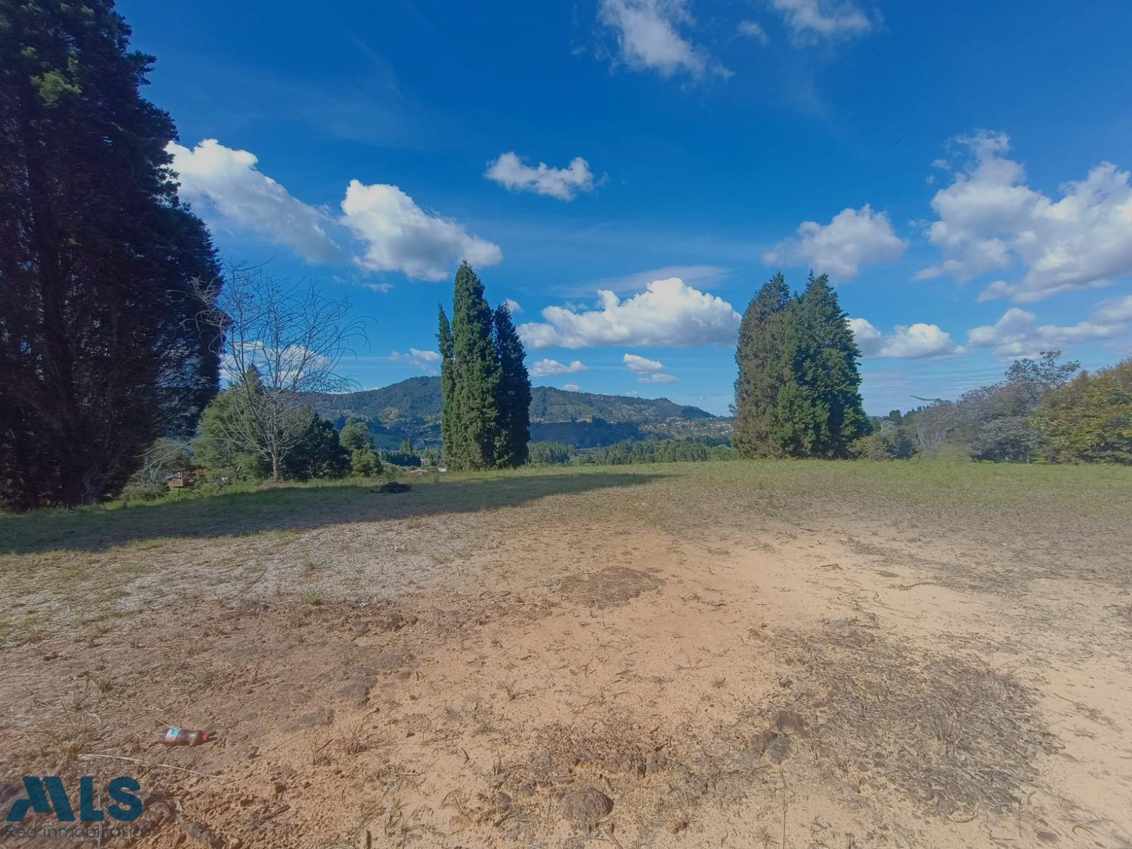 Hermoso lote semiplano guarne - v hojas anchas