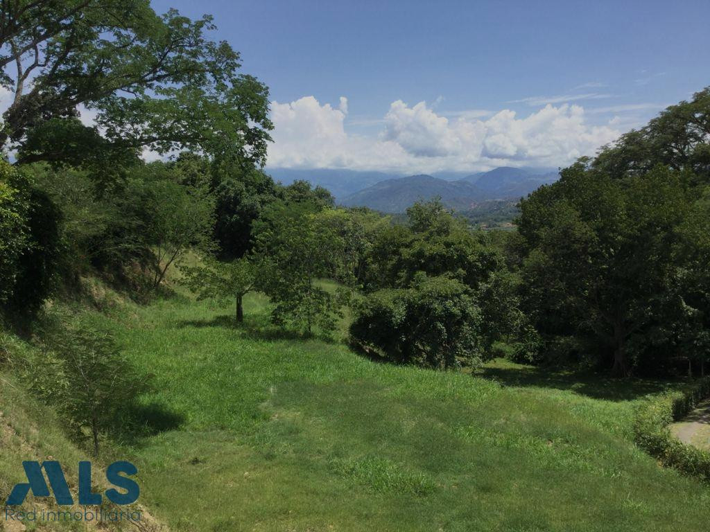 Excelente lote plano con muy buena ubicación santa-fe-de-antioquia - v el paso real