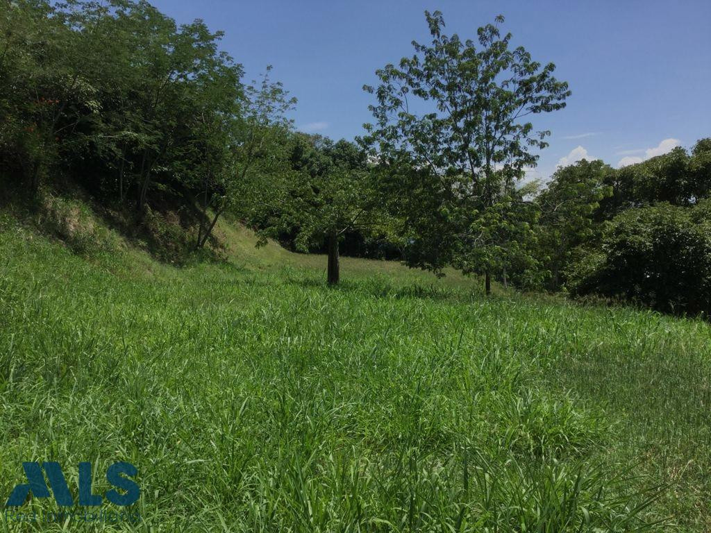 Excelente lote plano con muy buena ubicación santa-fe-de-antioquia - v el paso real