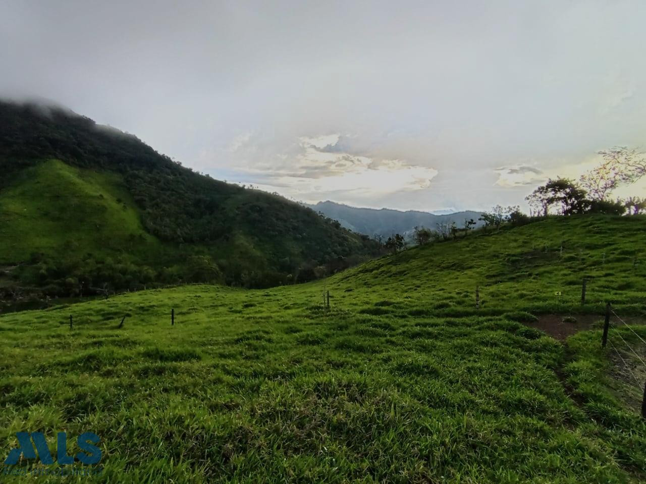 Hermosos lotes en unidad privada, en Tarso, Antioquia tarso - cauca viejo