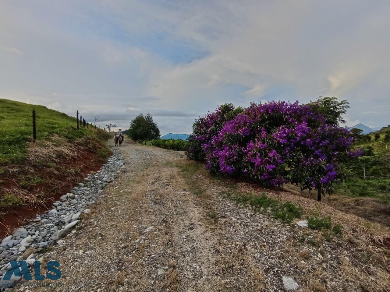 Hermosos lotes en unidad privada, en Tarso, Antioquia tarso - cauca viejo