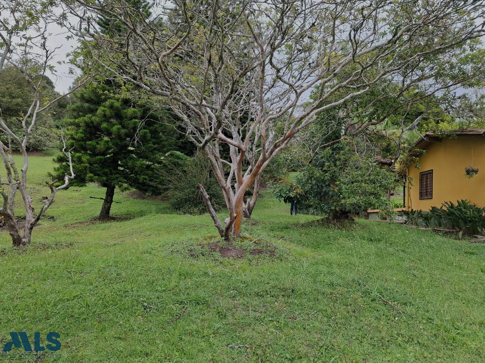 Vive la tranquilidad que mereces, rodeado de naturaleza rionegro - v el carmin