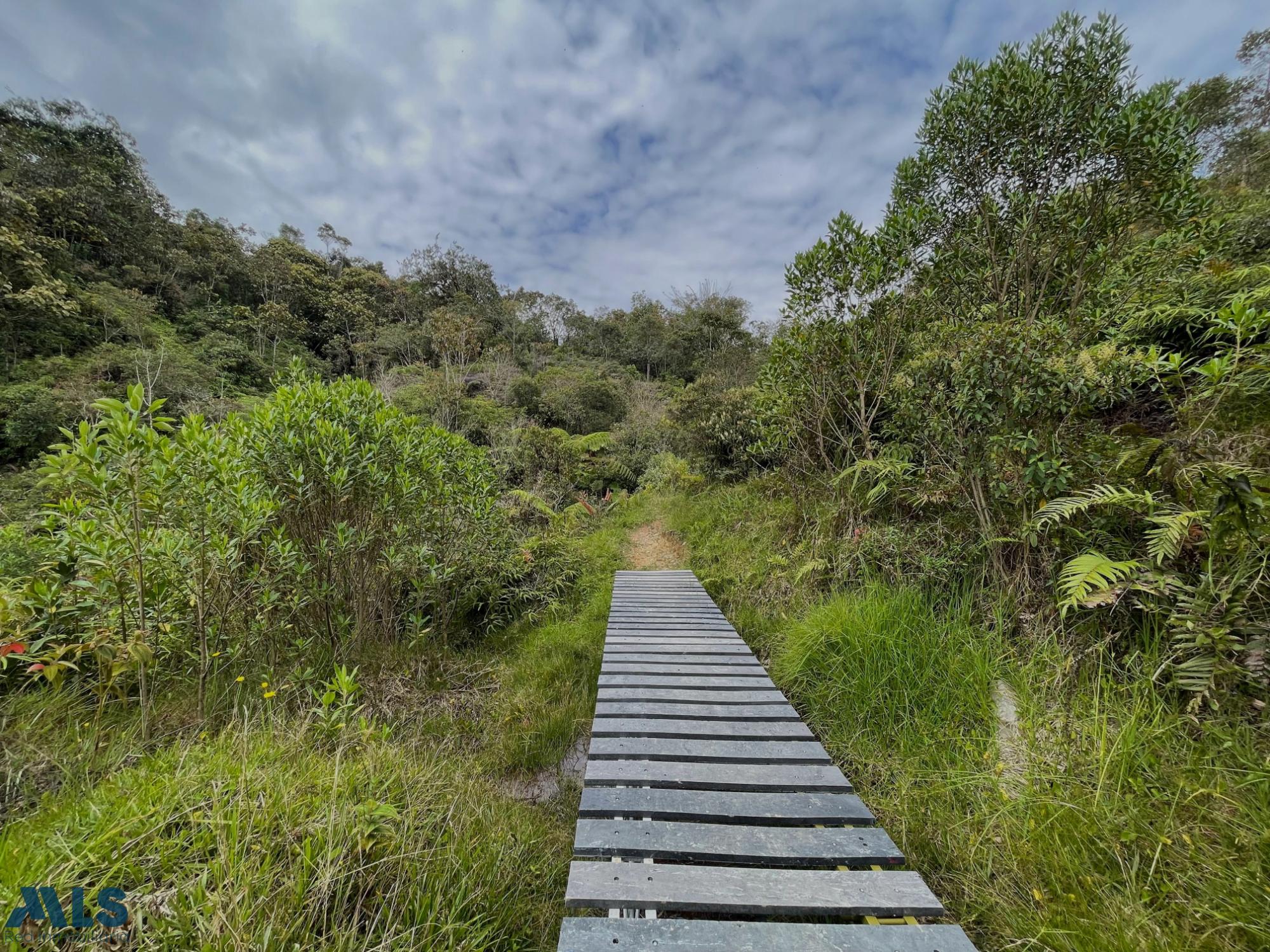 SE VENDE LOTE, COCORNA cocorna - los cedros