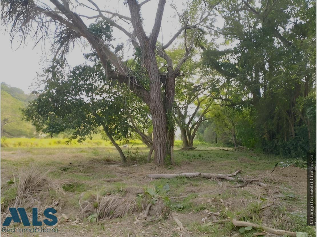 VENTA DE LOTE SOPETRAN VEREDA MIRANDA ANTIOQUIA sopetran - v miranda