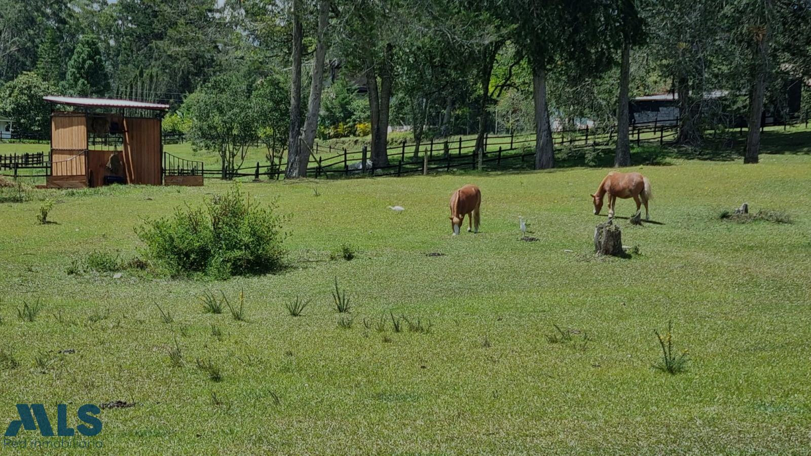 VENDO TERRENO EN PANTANILLO EL RETIRO el-retiro - pantanillo