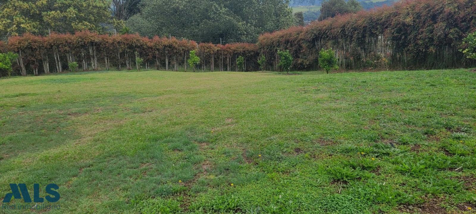 LOE CON EL MEJOR PRECIO AREA DEL SECOR envigado - alto de las palmas