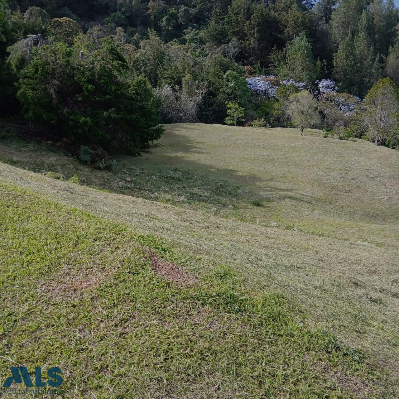 lote precioso rionegro - aeropuerto