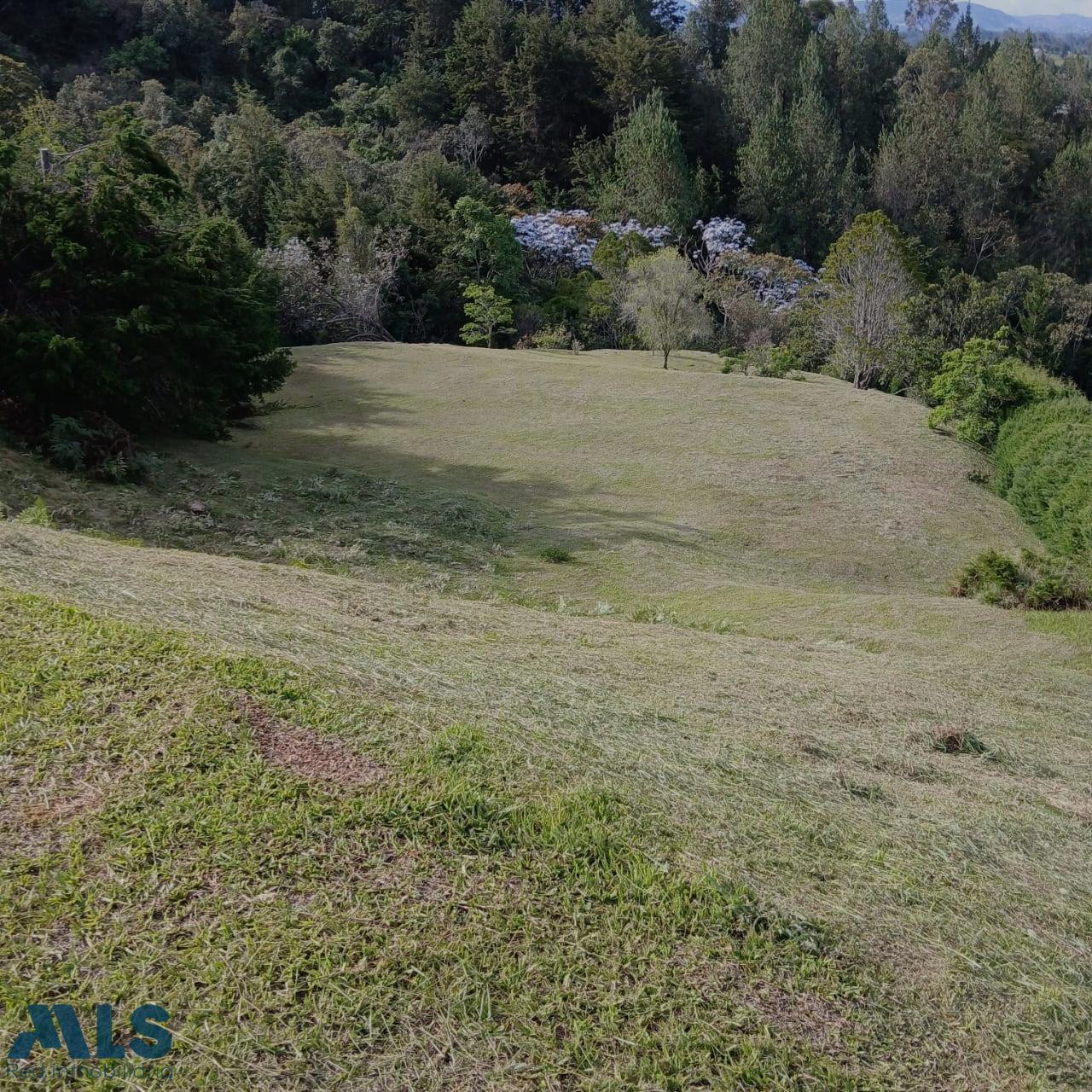 lote precioso rionegro - aeropuerto