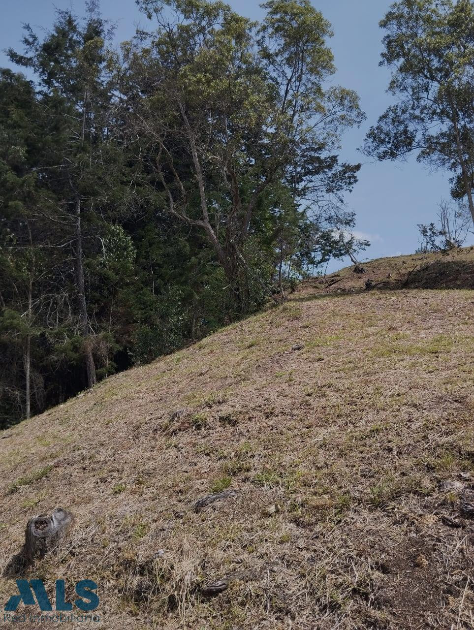 EXCELENTE LOTE CON PRECIO DE OPORTUNIDAD rionegro - la porquera