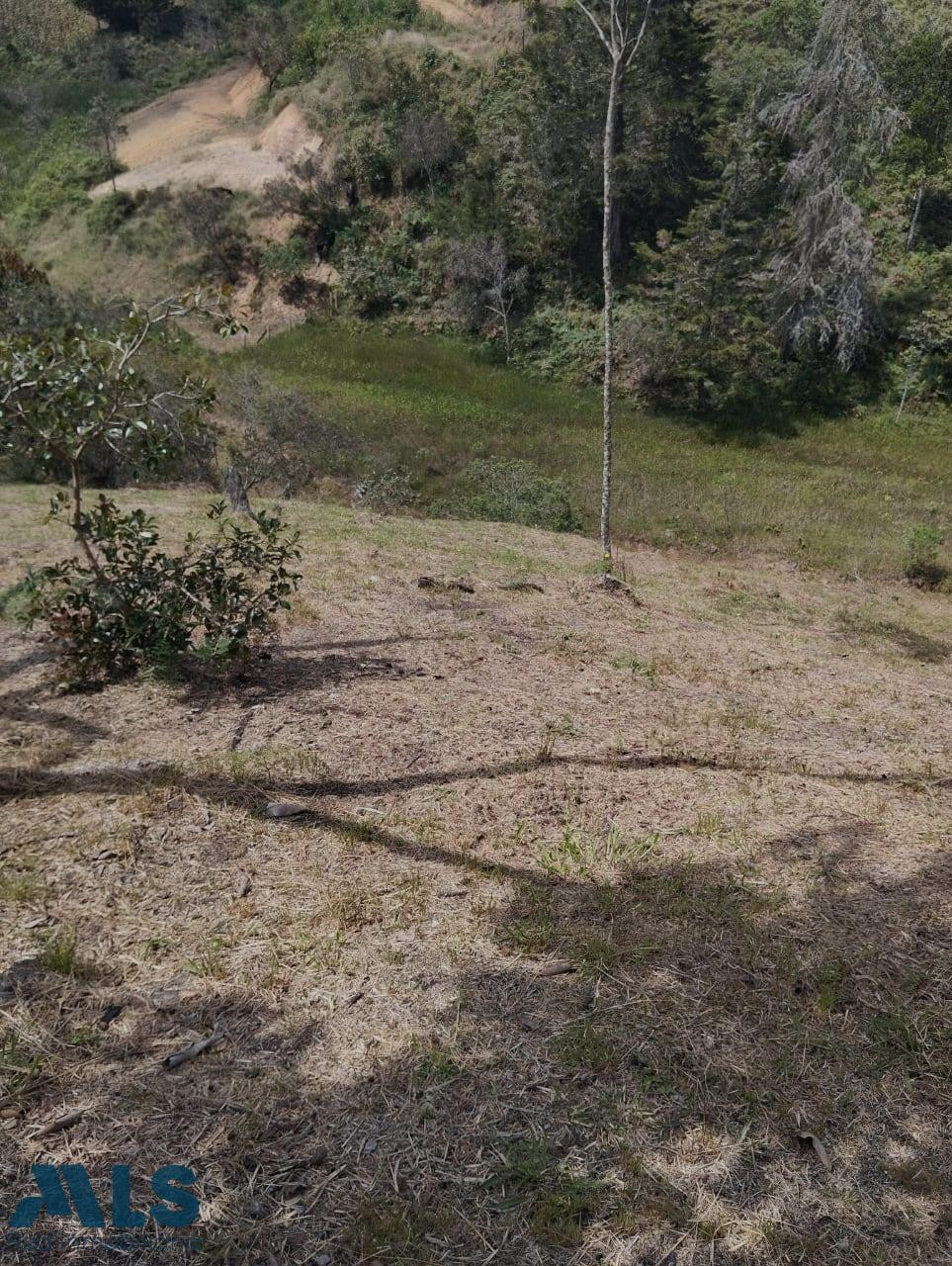 EXCELENTE LOTE CON PRECIO DE OPORTUNIDAD rionegro - la porquera