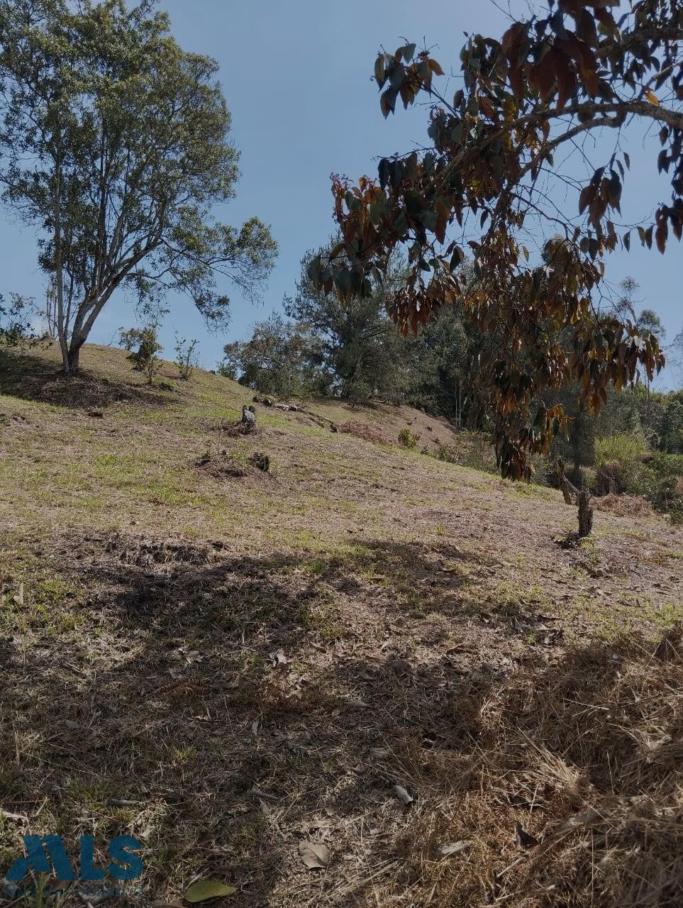 EXCELENTE LOTE CON PRECIO DE OPORTUNIDAD rionegro - la porquera
