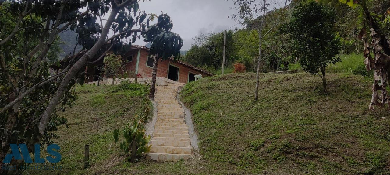 UNA MONTAÑA QUE ENAMORA EN BARBOSA barbosa - v graciano