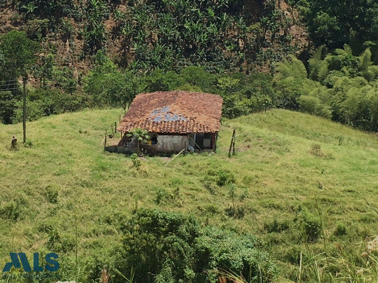 Finca en venta en Andes, Antioquia