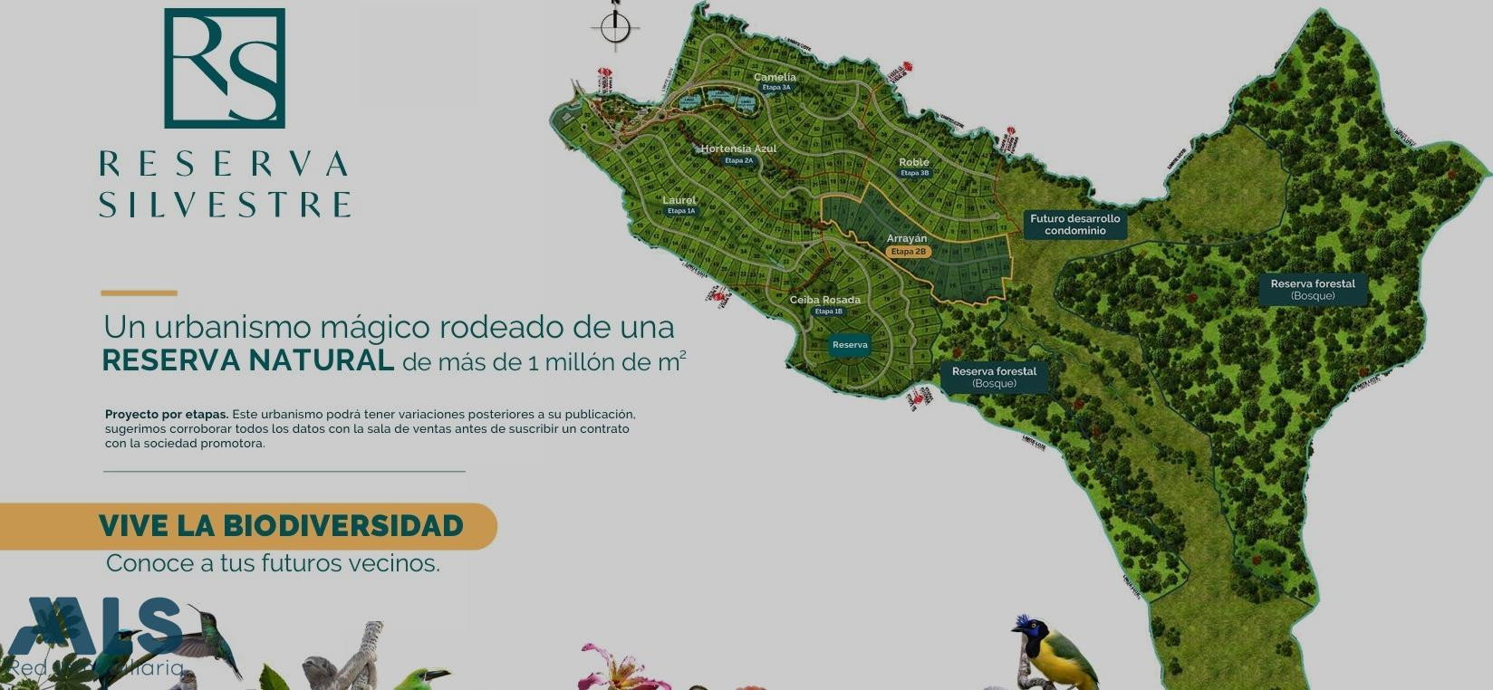 Tu refugio natural comienza aquí la-ceja - v el yarumo