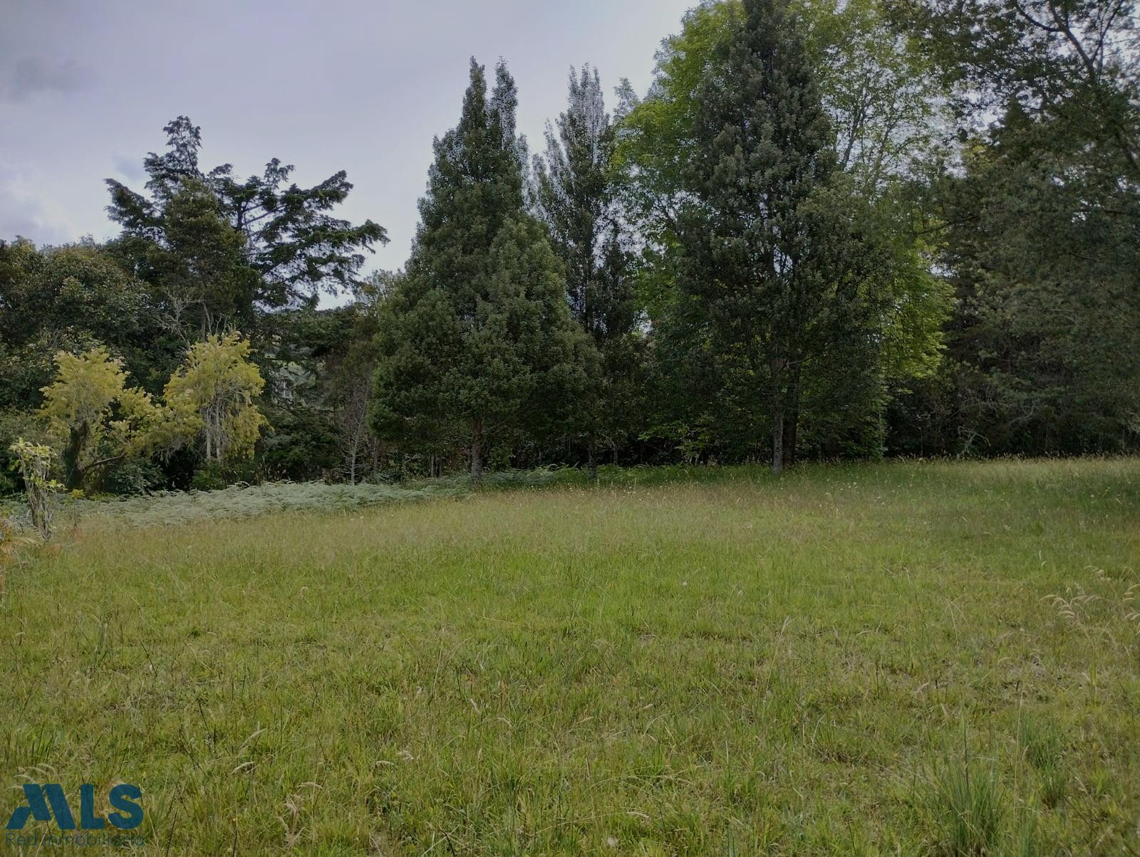 venta lote alto de las palmas el-retiro - alto de las palmas el retiro