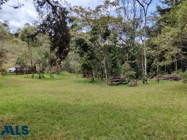 Hermoso lote independiente en el Alto de las Palmas envigado - alto de las palmas