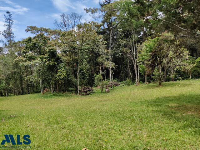 Hermoso lote independiente en el Alto de las Palmas envigado - alto de las palmas
