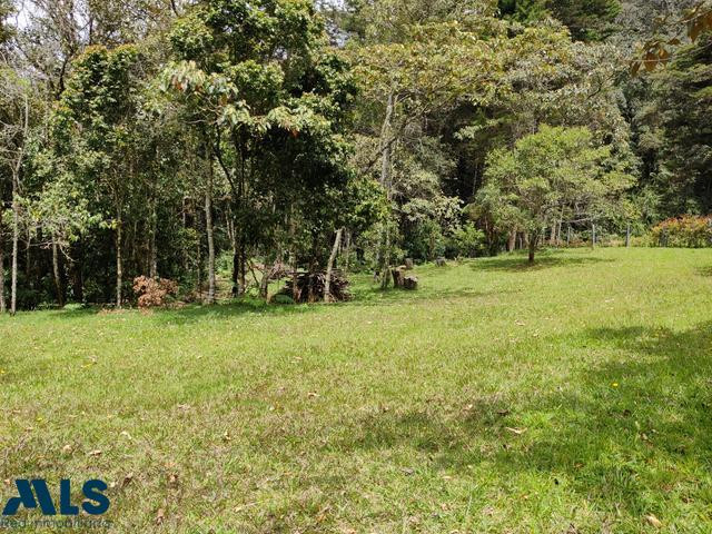 Hermoso lote independiente en el Alto de las Palmas envigado - alto de las palmas