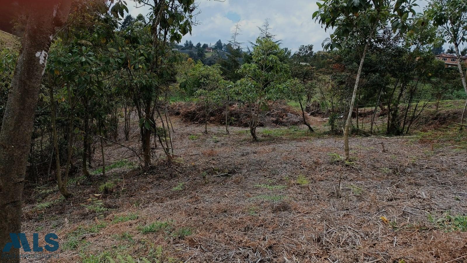Lot for sale in Marinilla, Antioquia